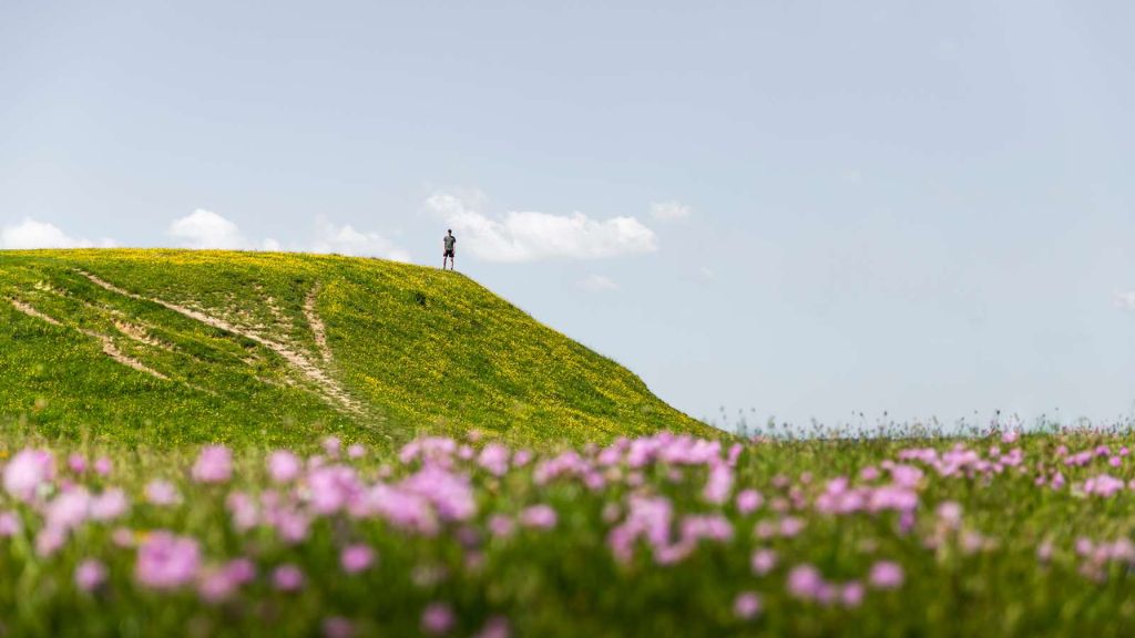 Bolund and Roskilde Fjord