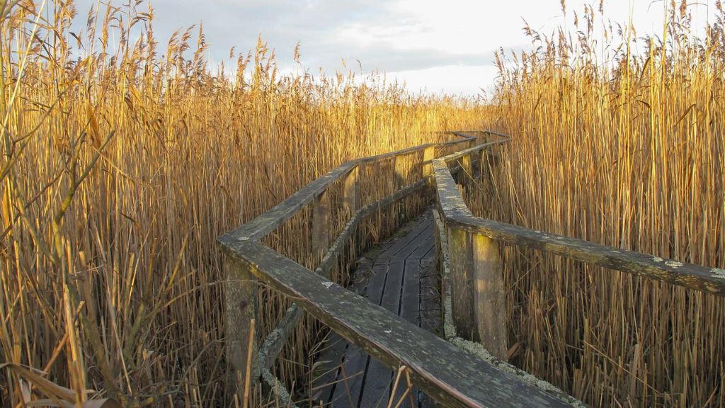 A guide to Fjordlandet's hiking trails