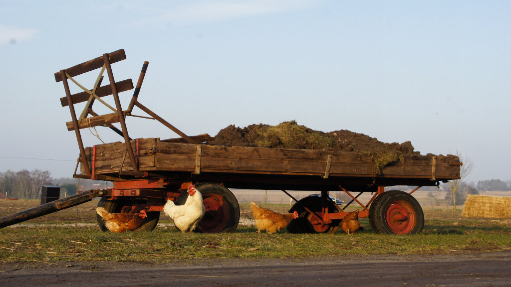 Hegnsholt Organic Farm & shop