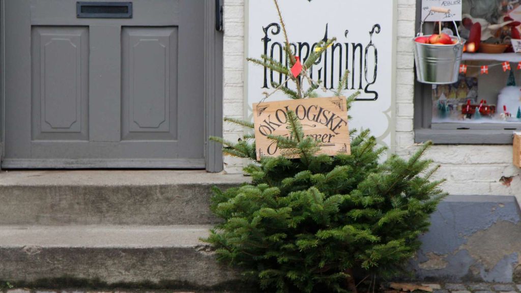 Jul i Fjordlandet, Roskilde-Lejre-Frederikssund