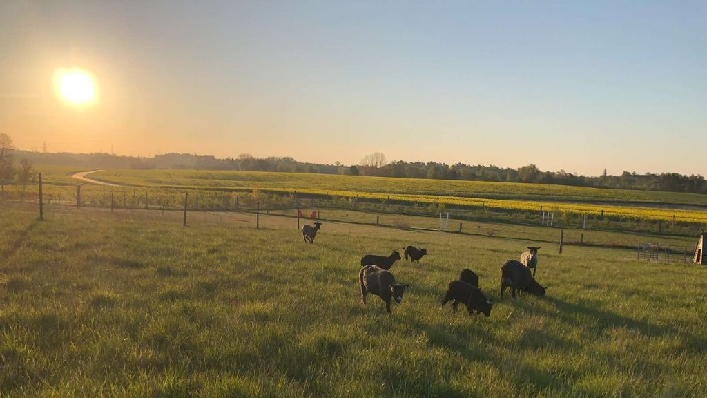 Nordgården - Holiday apartments