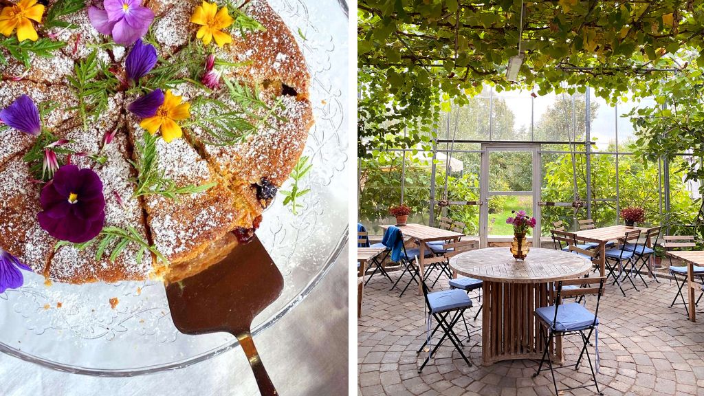 Flower-decorated cake and tables beneath vines in a greenhouse at Sct. Hans Have.