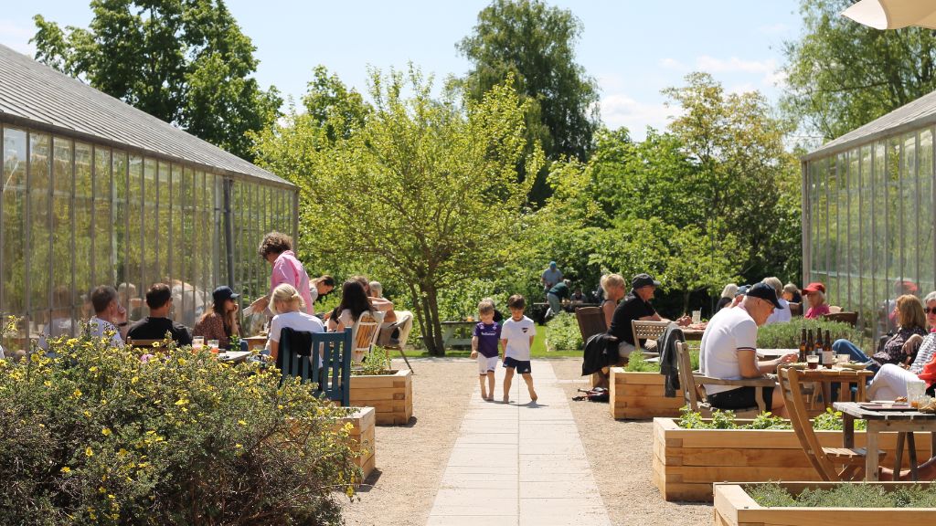 Café visitors at outdoor tables between the greenhouses at Sct. Hans Have.