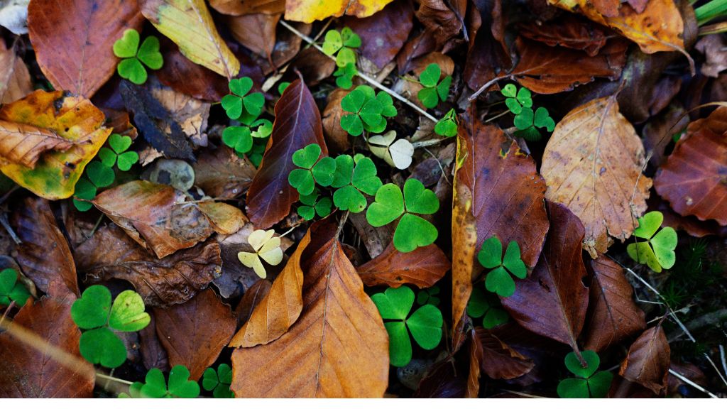 Nationalpark Skjoldungernes Land