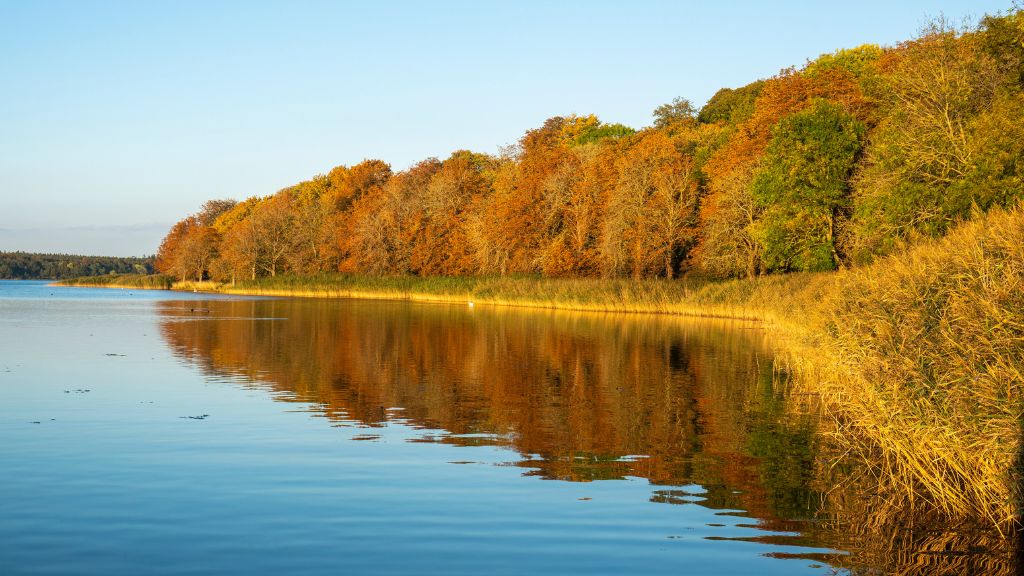 Nyd efteråret i Fjordlandet