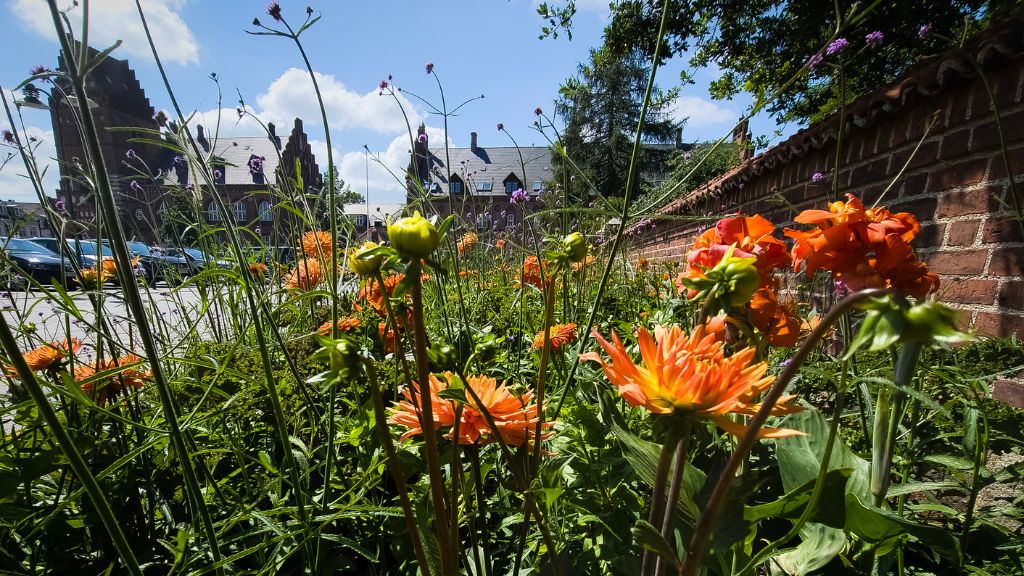 Oplev sommerliv på Stændertorvet