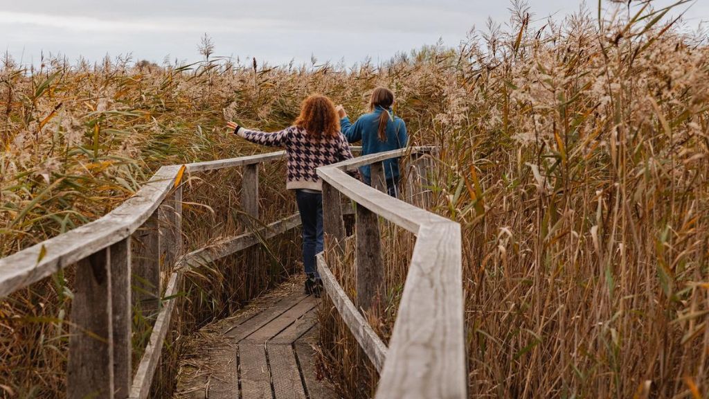 Rørskoven ved Gundsømagle sø