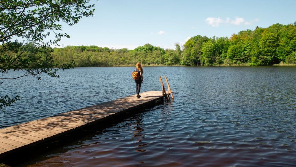 Skjoldungestien Trail - Avnsø