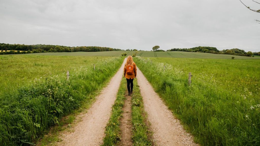 Skjoldungestien Mysselhøj
