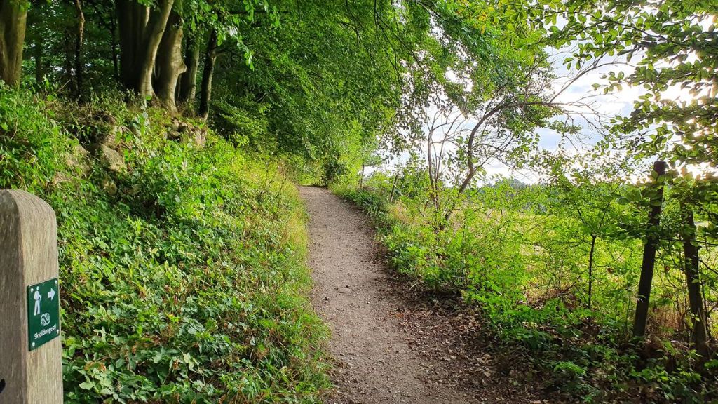 Skjoldungestien Trail through Bidstrupskovene
