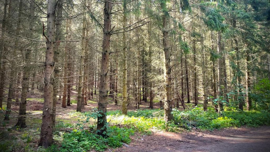 Gudernes Stræde Hiking Trail