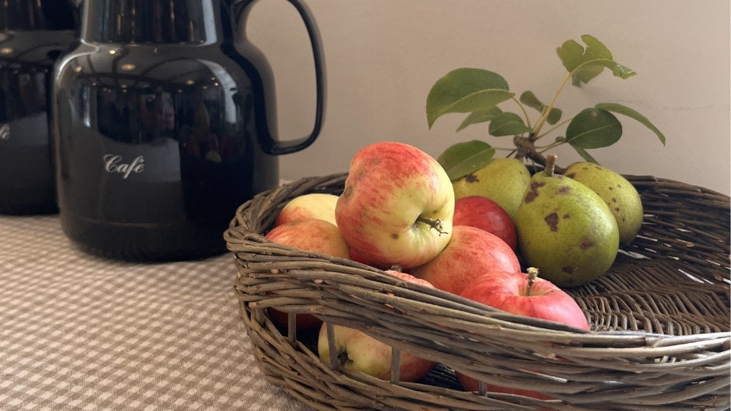 Kurv med æbler og pærer på Nordgården.