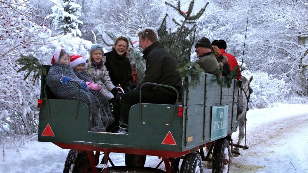 Kør med hestevogn på Ryegaard Gods