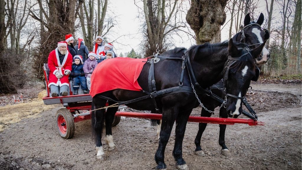 Kør med hestevogn på Ryegaard Gods