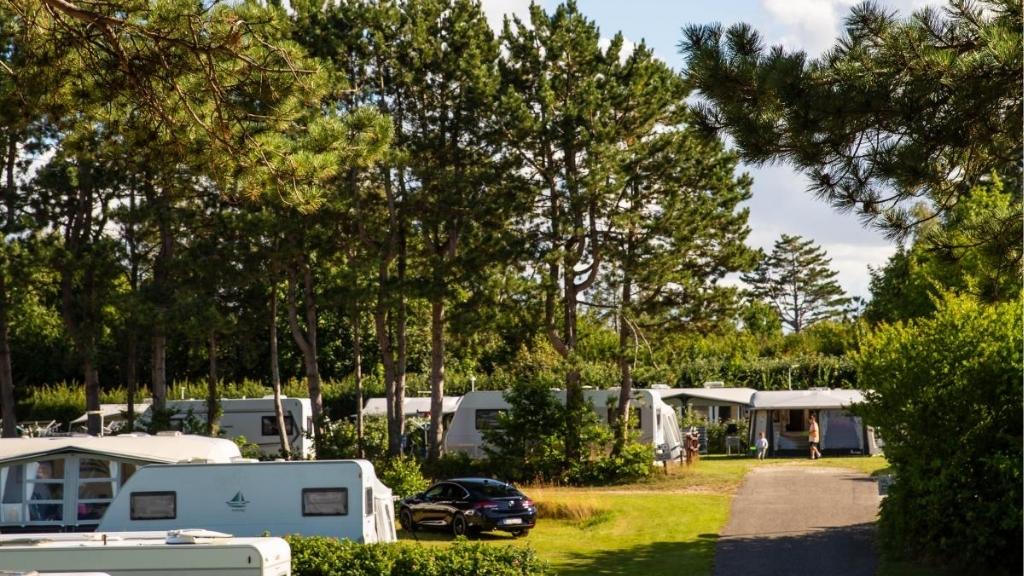 Caravans at Kulhuse Camping surrounded by pine trees and greenery.