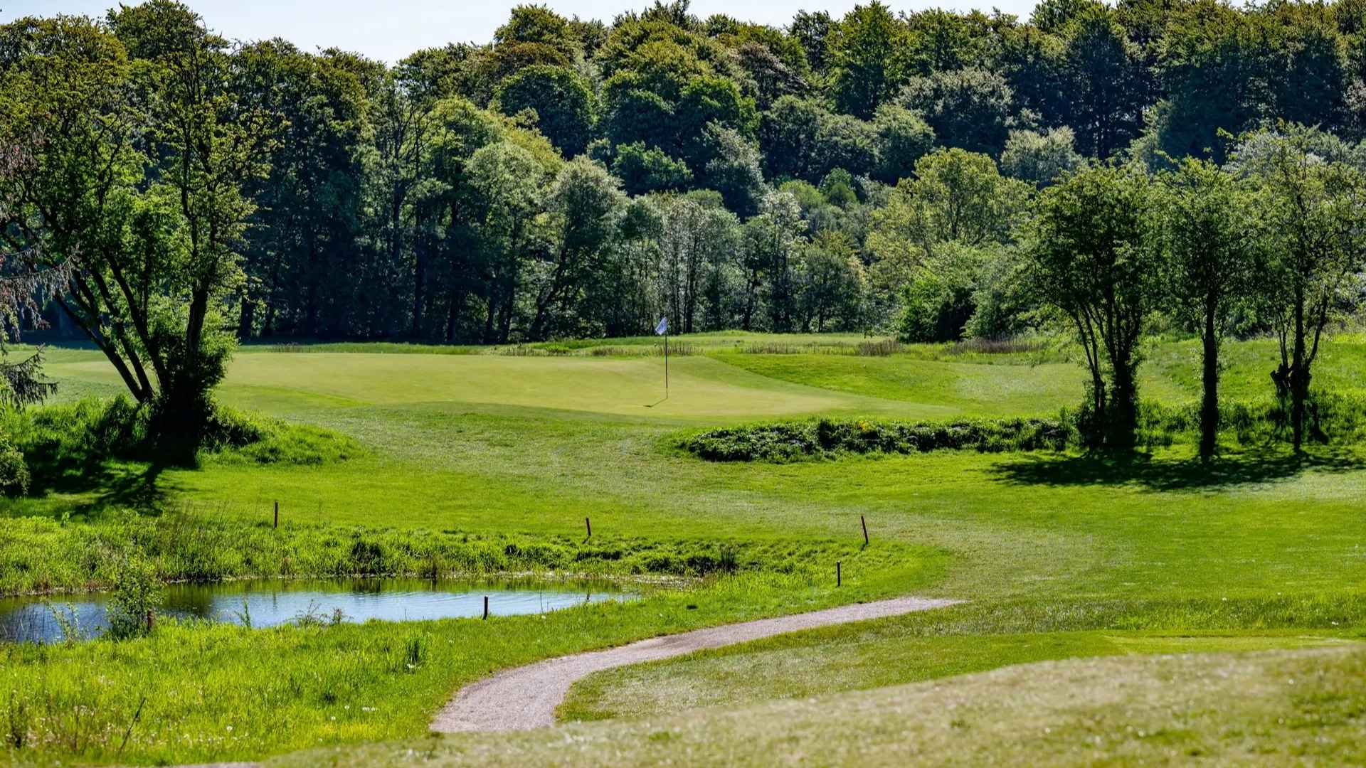 Green with water hazard and forest backdrop at Ledreborg Palace Golf Club.