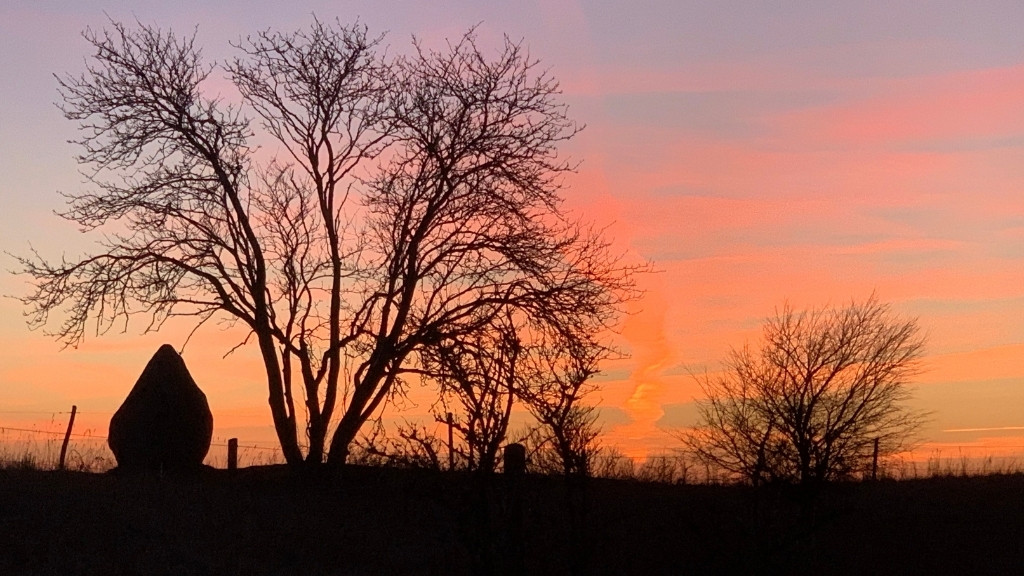 Sunset at Kursuscenter Ådalen with tree silhouettes and a colorful sky.