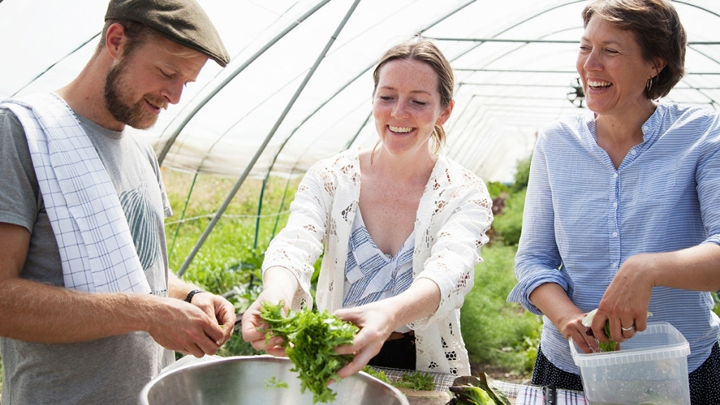 Deltagere hos Godis Grønt forbereder friskhøstede urter og grøntsager i drivhus.