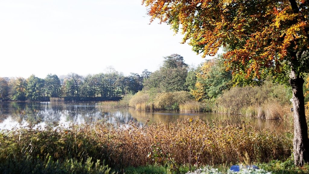 Sø og skov i Herthadalen med efterårsfarver.