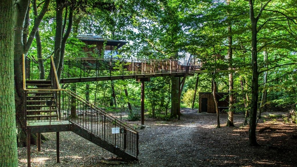 Gangbro mellem trætophytter i skoven ved Ryegaard Gods.