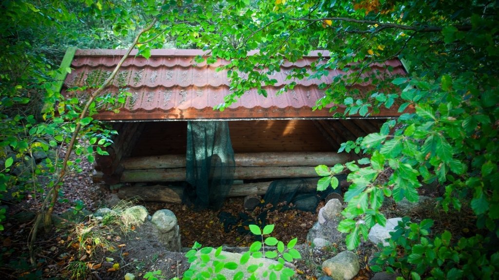Front view of a shelter at the Viking Tribe Camp in a forest area.