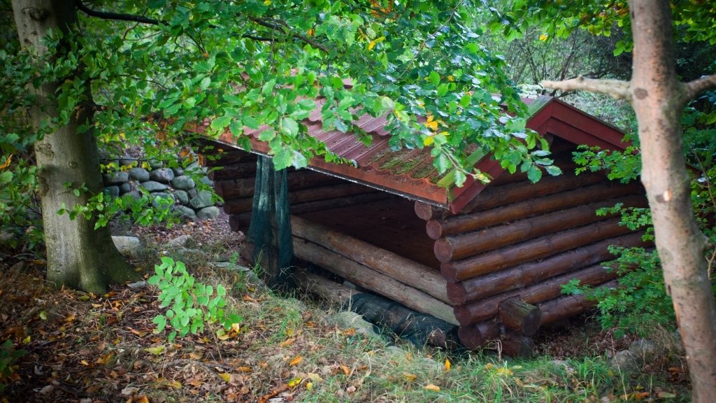 Shelter im Wald bei der Wikingerstammes Lagerplatz, umgeben von Bäumen.