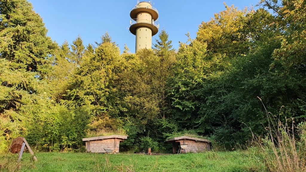 The telecommunication tower near Lerbjerg-Shelters surrounded by forest.