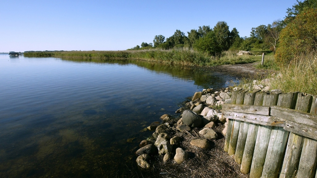 Flaches Ufer bei Skuldelev Strand mit Schilf, Steinen und ruhigem Fjordwasser.