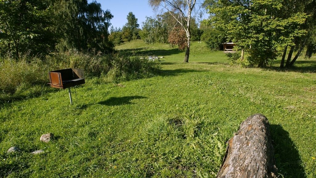 Grünfläche bei Skuldelev Strand mit Grillplatz und Bäumen.