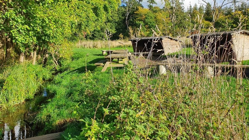 Shelters und Picknicktische auf dem Tadre Mølle Lagerplatz in grüner Umgebung.