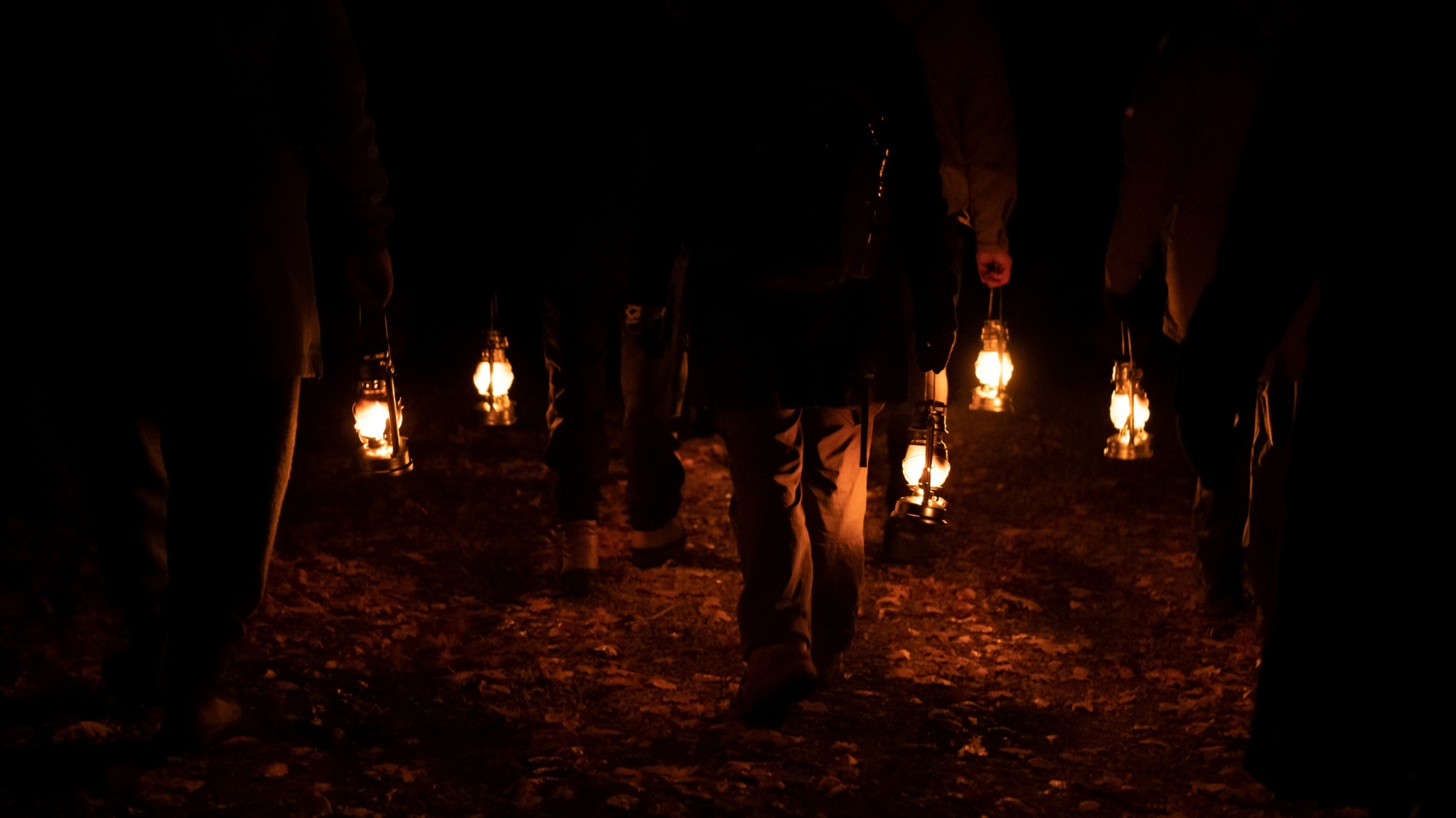 Group walking through a forest at night with lanterns during a nature experience.