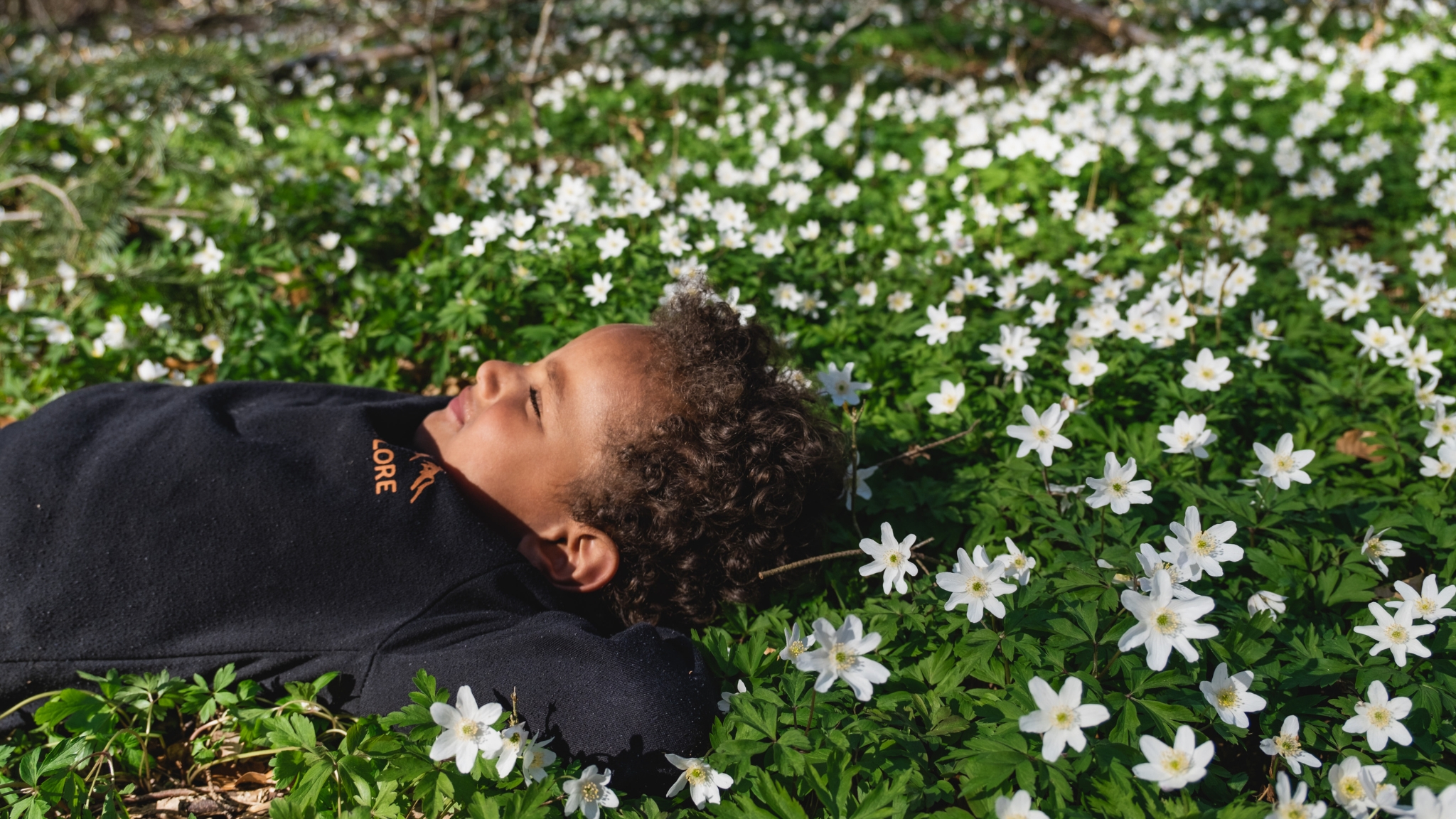 Kind liegt im Waldboden zwischen weißen Buschwindröschen im Boserup Wald bei Roskilde.