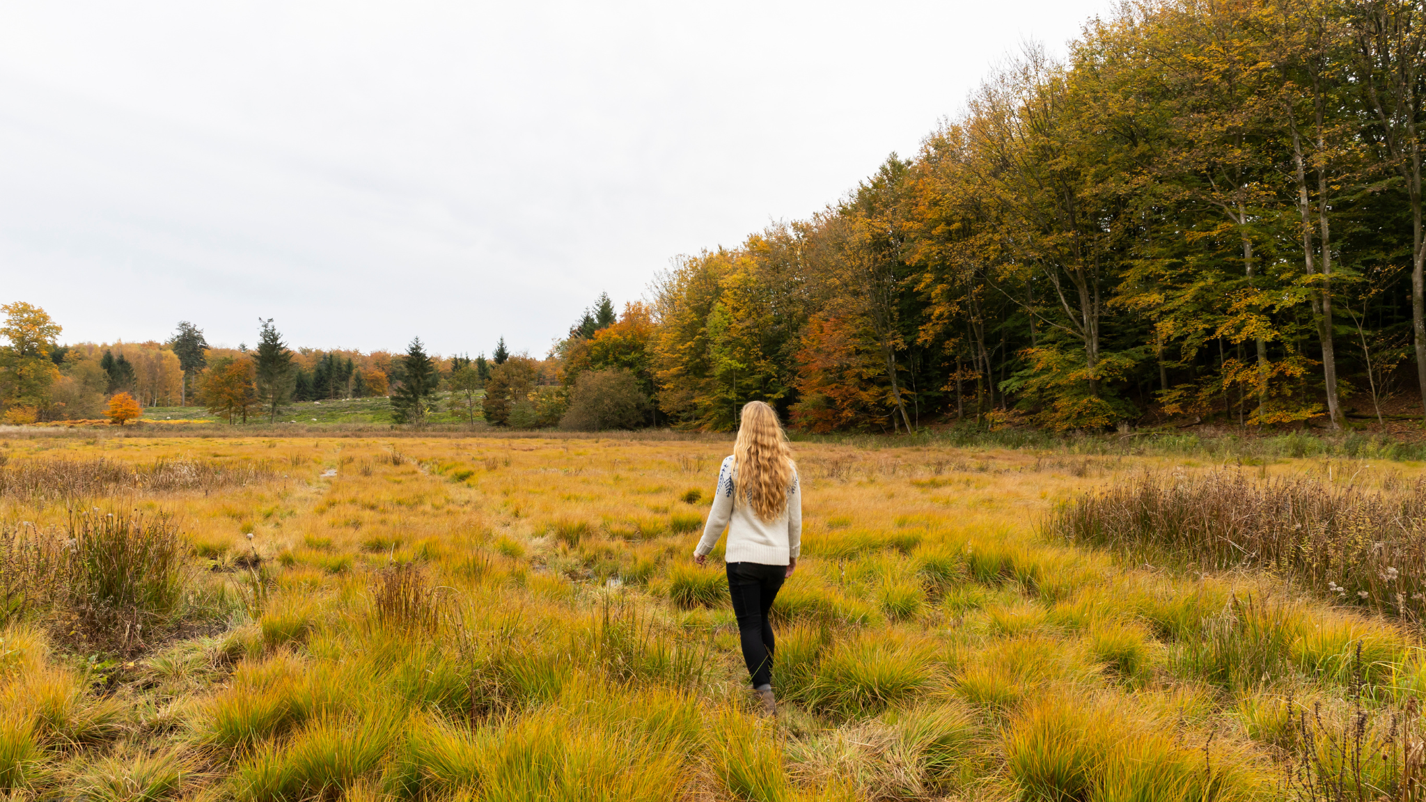 Vandrer i åbent naturområde i Lerbjerg Skov omgivet af efterårsfarvet skov.