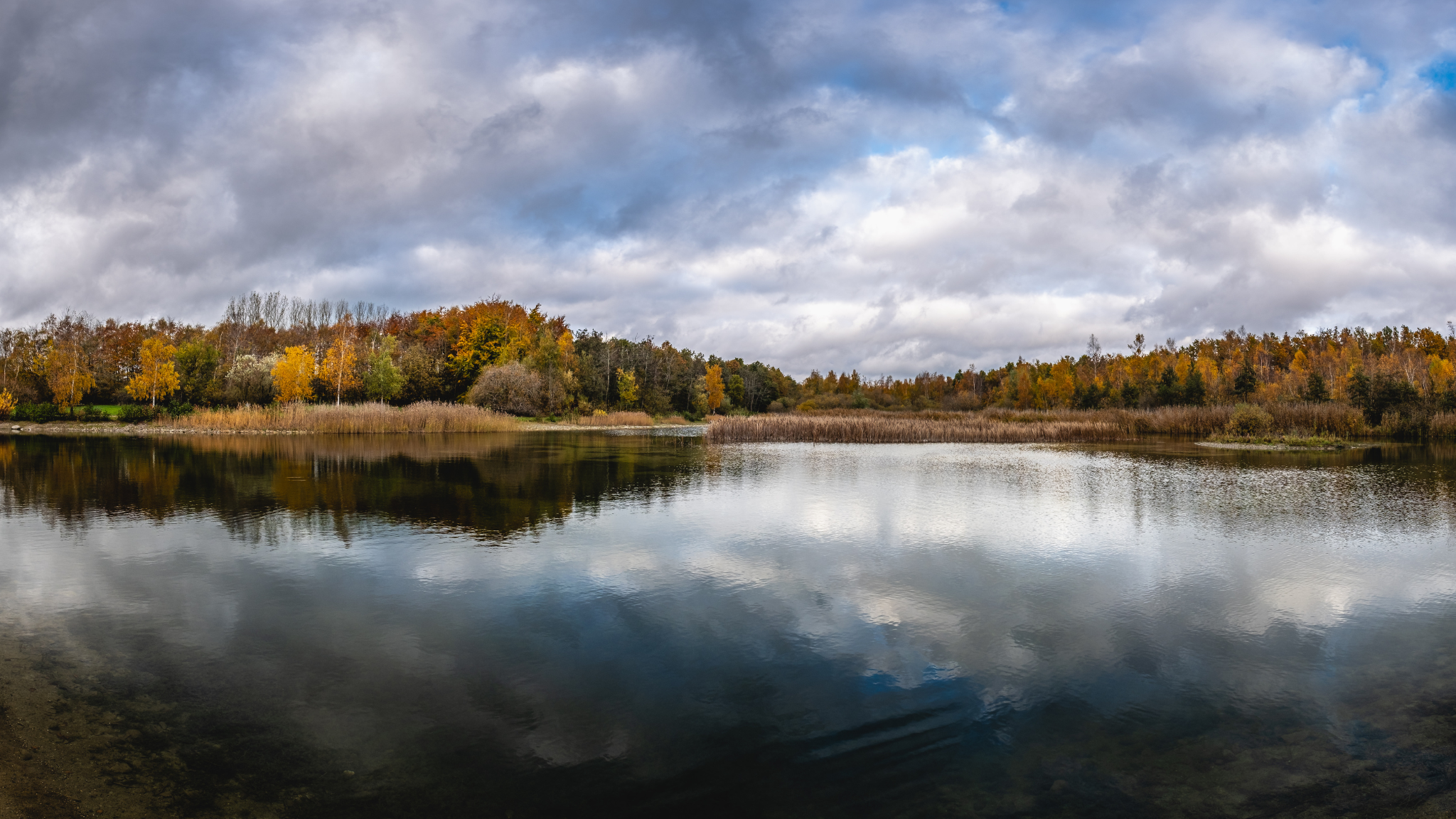 See im Naturpark Hedeland, umgeben von Bäumen in Herbstfarben und Schilf am Ufer.