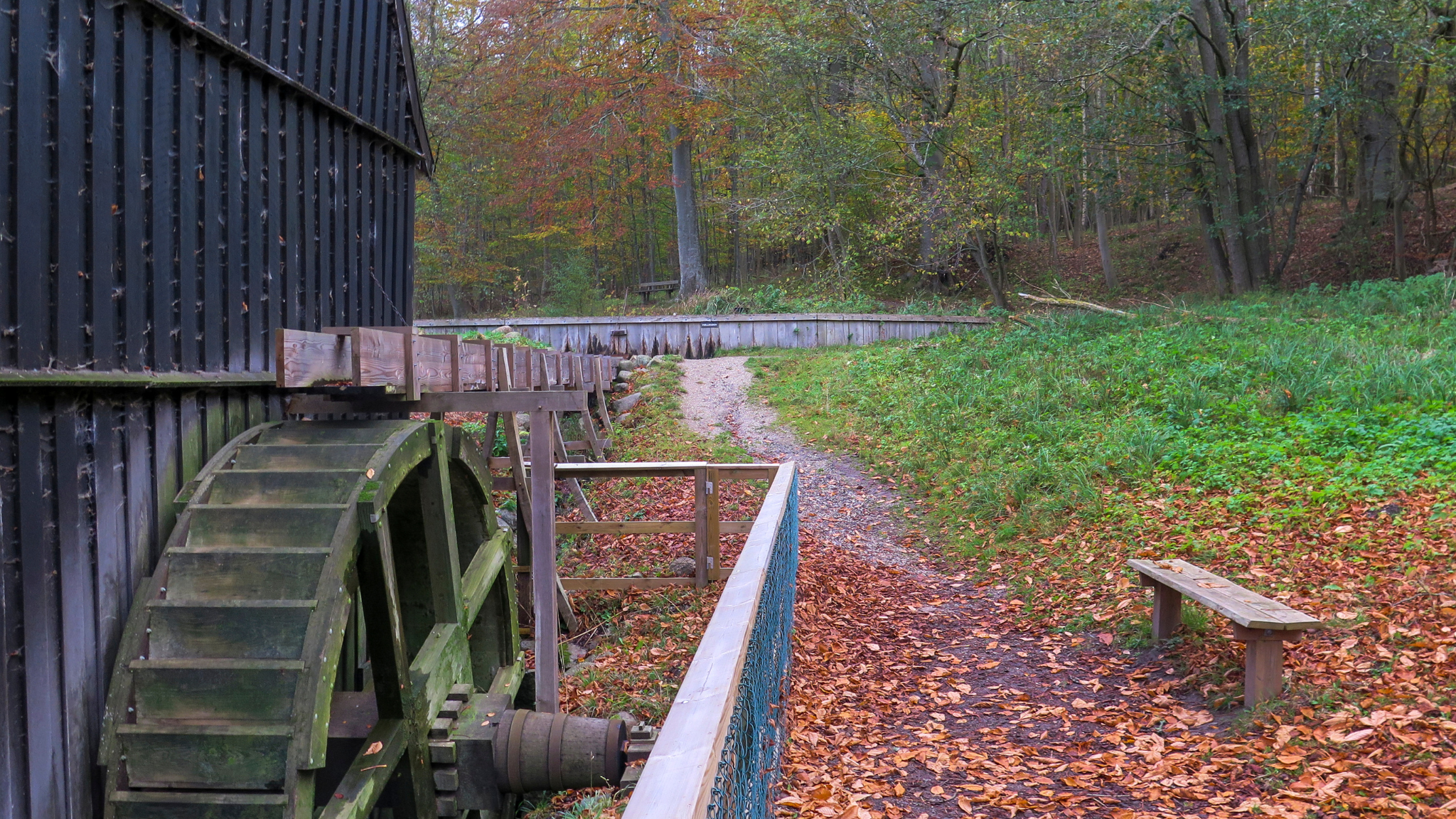 Historic mill wheel at Tadre Mølle surrounded by autumn woodland.