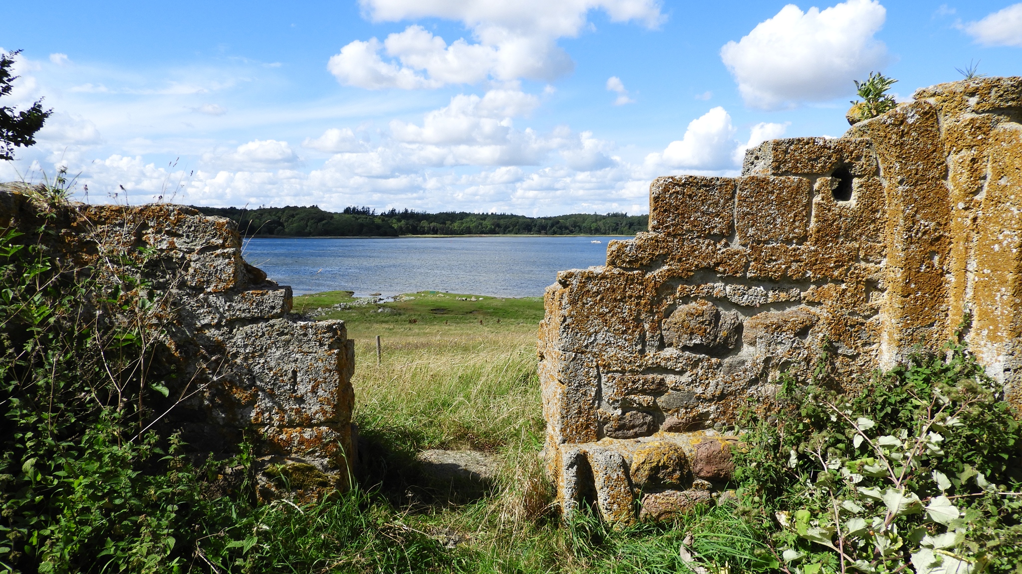 Klosterruine auf Eskilsø mit dem Roskilde-Fjord im Hintergrund