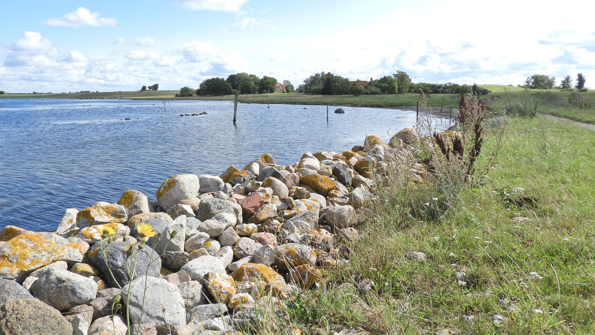 Steine entlang der Küste von Eskilsø am Roskilde-Fjord