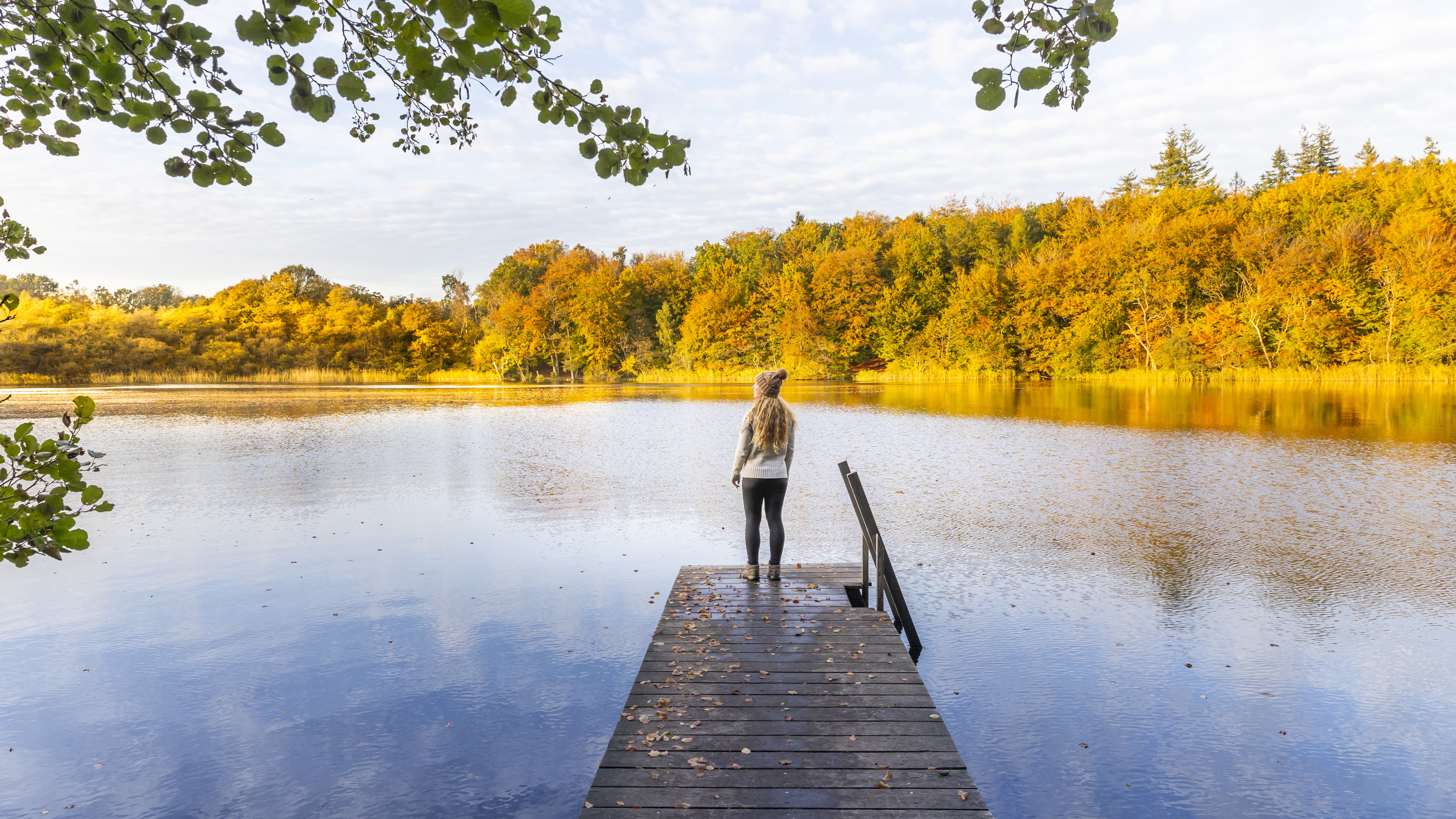 Person på en badebro ved Avnsø i Bidstrup Skovene med skov i efterårsfarver langs bredden.