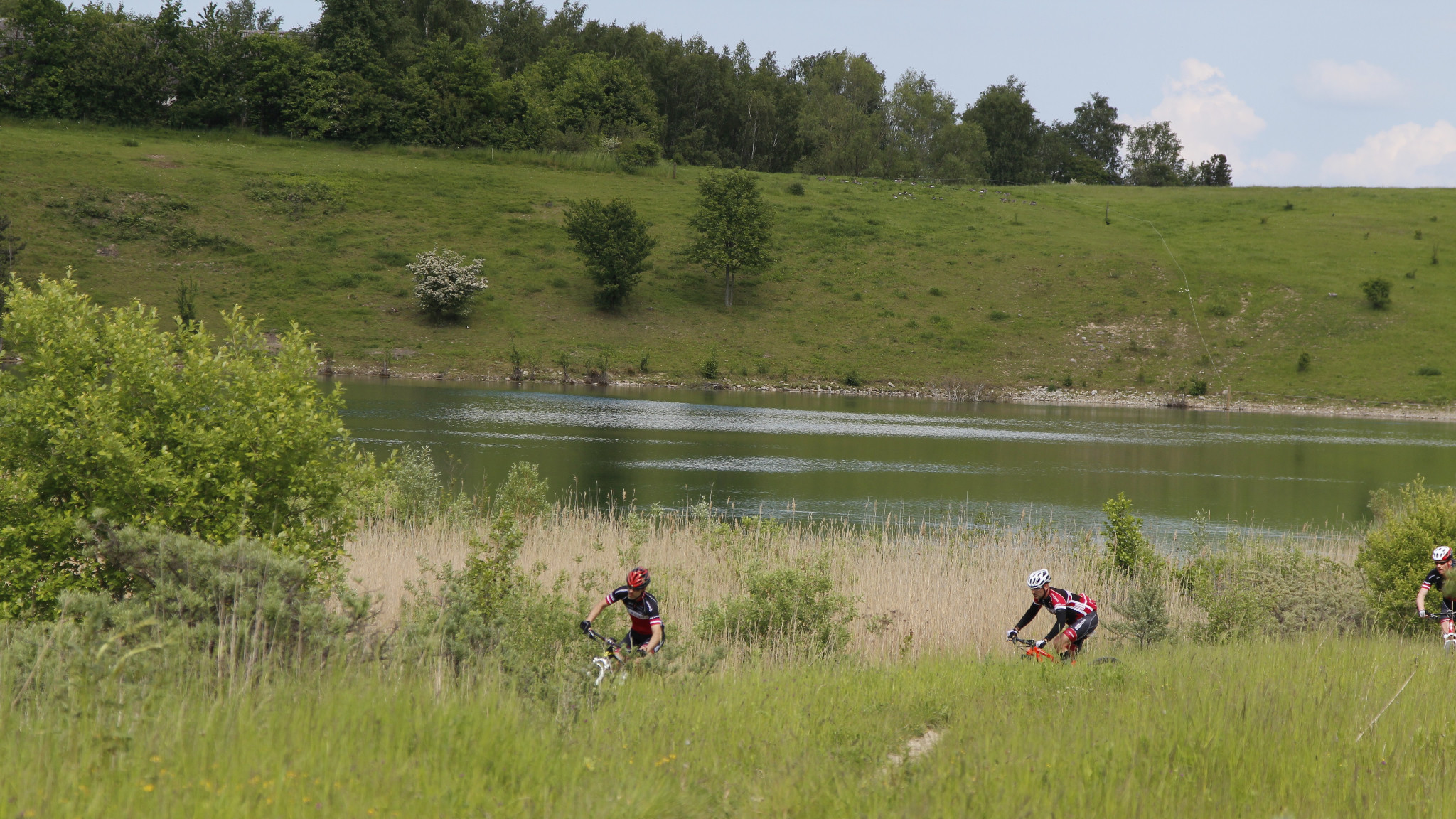 Mountain bikers beside a lake in Himmelev Skov