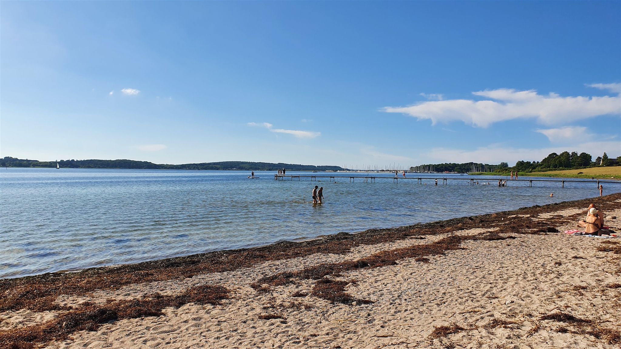 Badende ved badebroen på Marbæk Strand ved Roskilde Fjord.