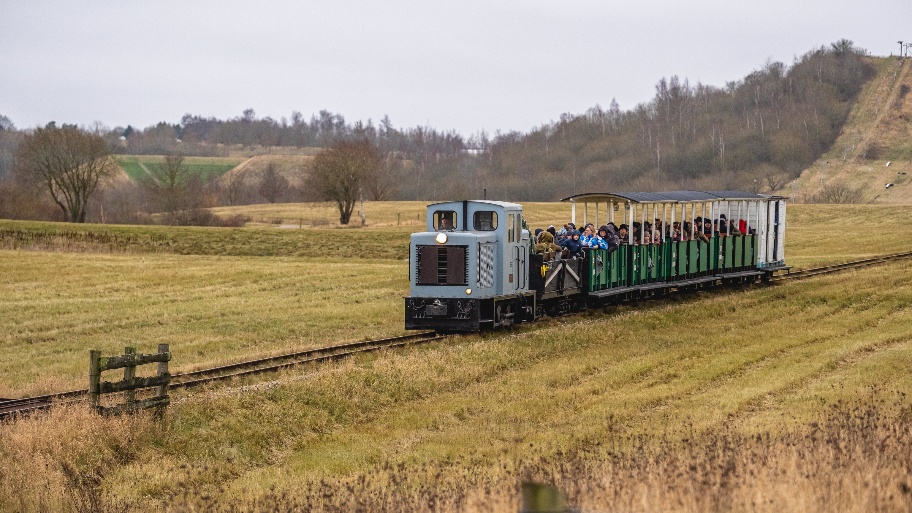 A heritage train with passengers travelling through the open landscape of Hedeland Nature Park.