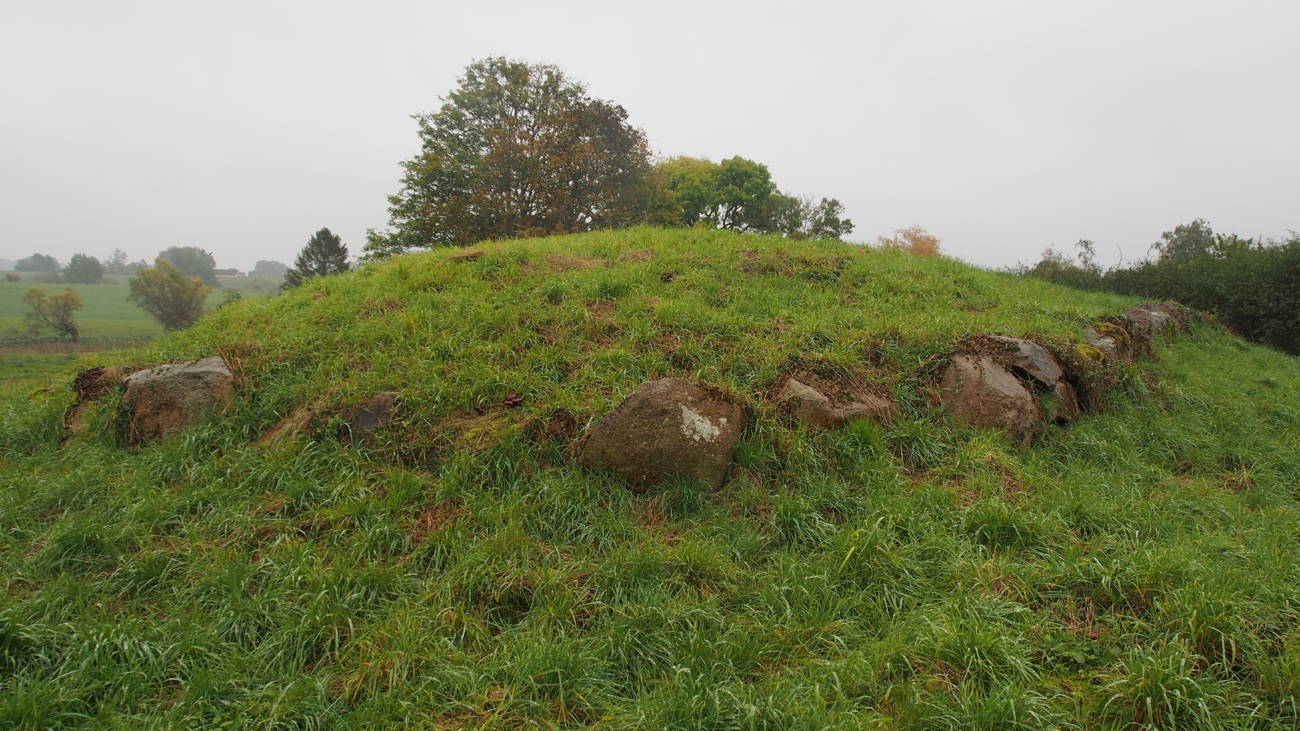 Grasbewachsenes Langgrab mit großen Randsteinen bei Gl. Lejre.