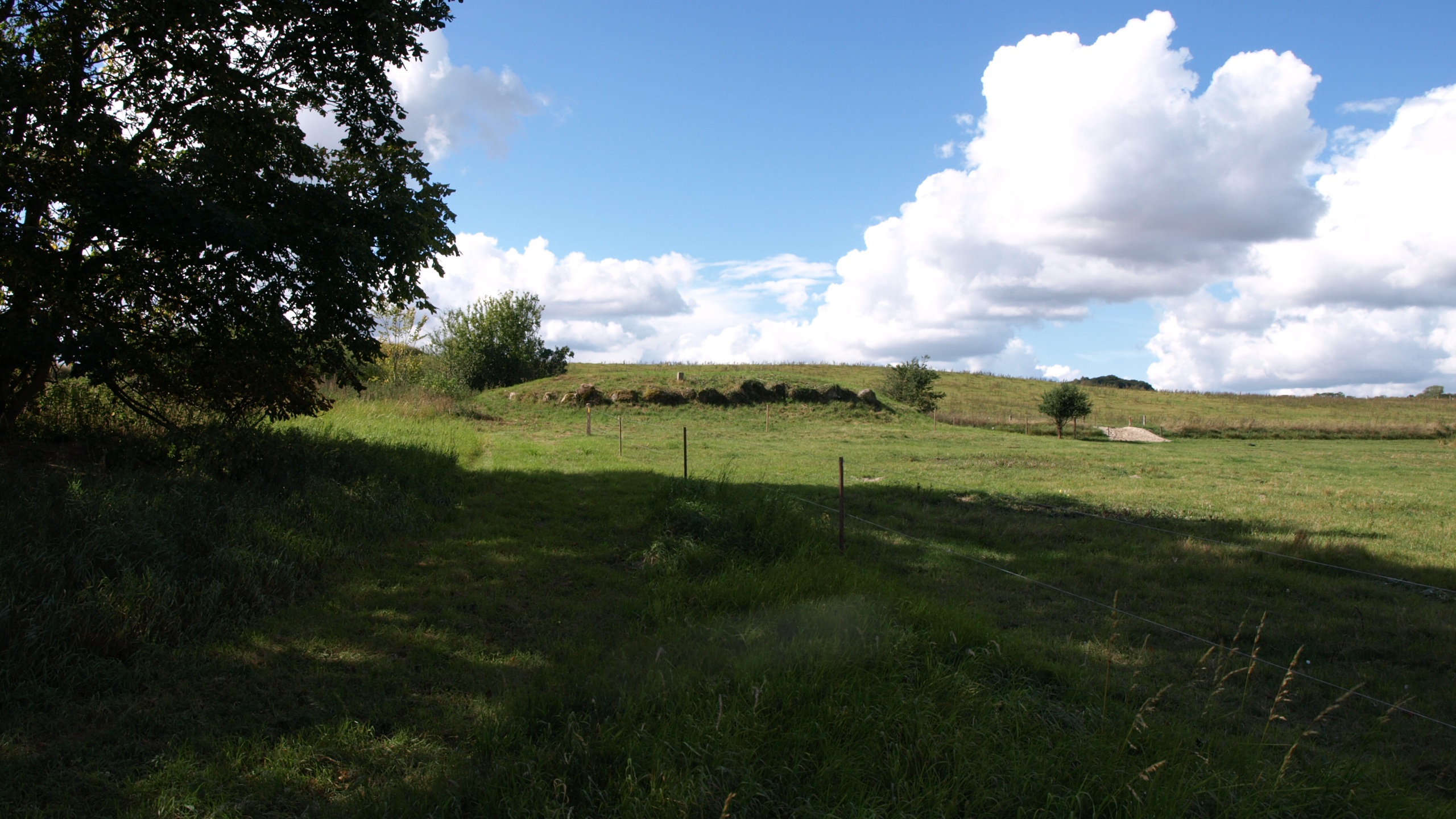 Harald Hildetands Høj in offener Landschaft mit Bäumen und Wiesen.
