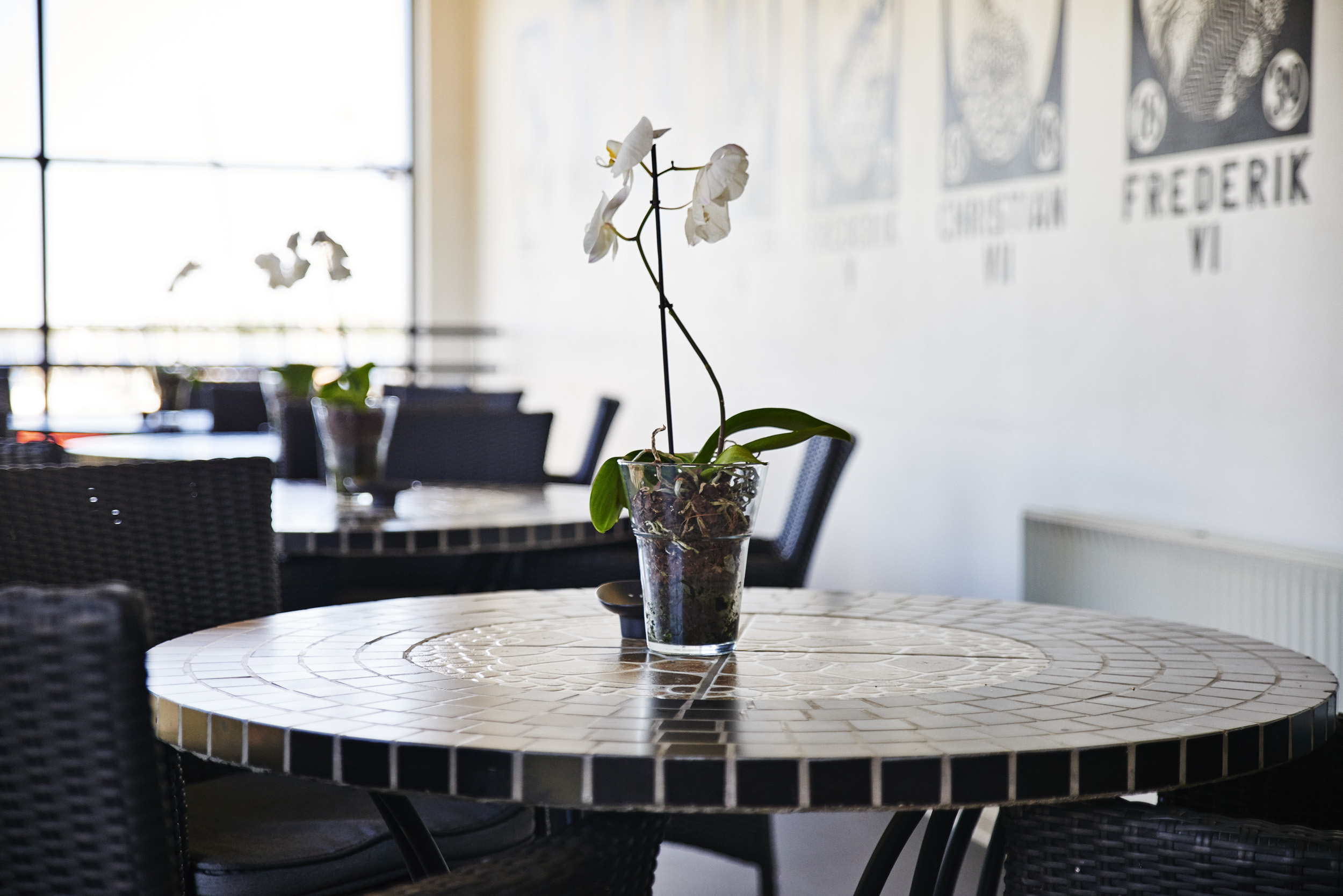 Dining area with a round table and orchid at Danhostel Roskilde