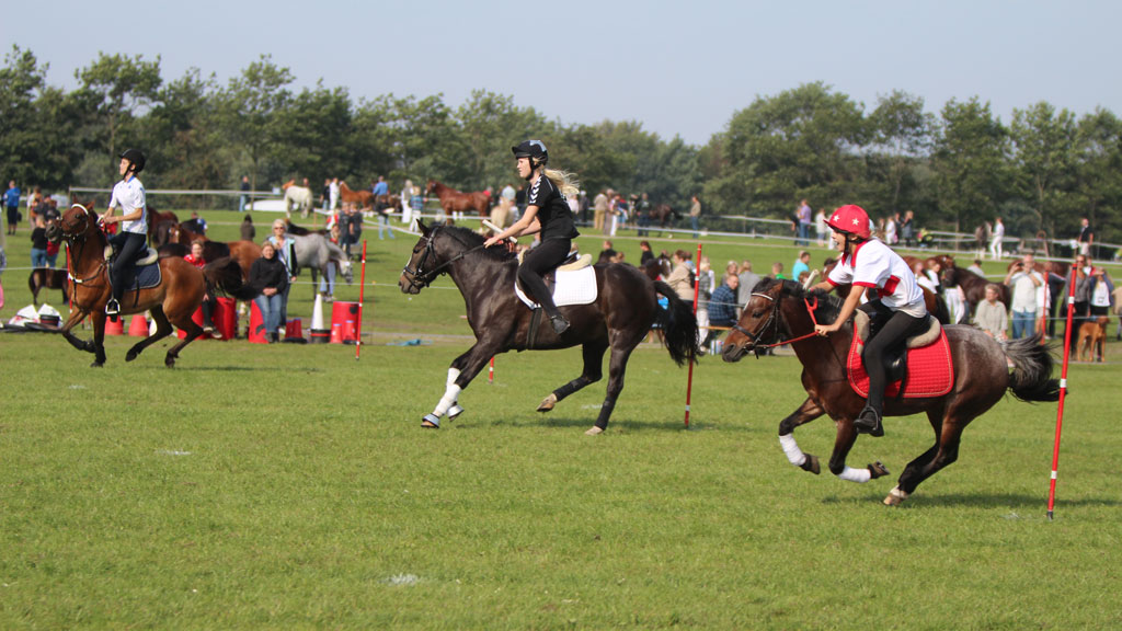 Pony riders in action at Store Hestedag
