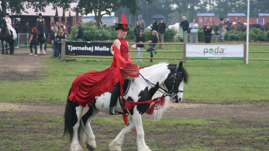 Rider in a red costume on a piebald horse at Store Hestedag