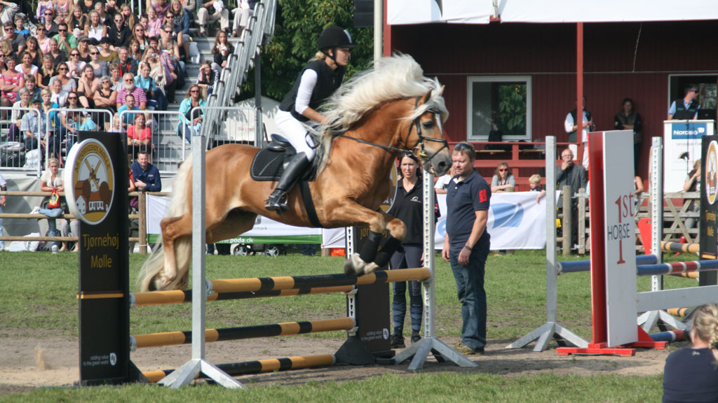Horse and rider jumping a fence at Store Hestedag
