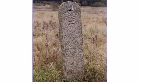 Vildtbanestenen, ein Grenzstein mit Inschrift, im Gras bei Jyllinge.