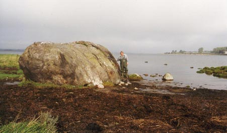 Der Findling Oddestenen am steinigen Ufer des Roskilde-Fjords.