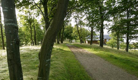 Path through the trees beside Restaurant Kalvø